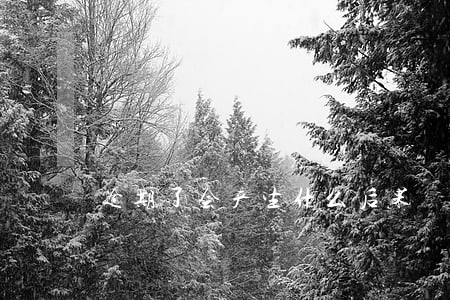 逾期了会产生什么后果 逾期了会产生什么后果