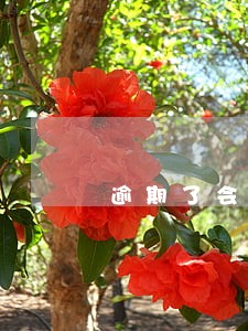 逾期了会从其它卡扣钱吗 逾期了会从其它卡扣钱吗