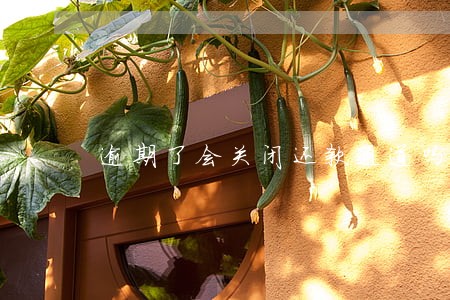 逾期了会关闭还款通道吗 逾期了会关闭还款通道吗