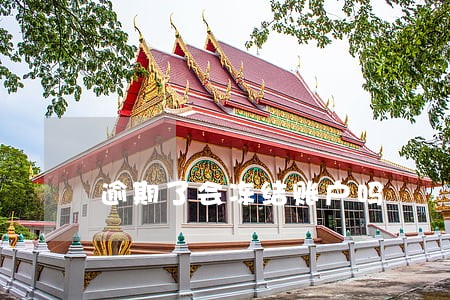 逾期了会冻结账户吗 逾期了会冻结账户吗