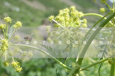 逾期了会发短信给亲朋好友吗 逾期了会发短信给亲朋好友吗