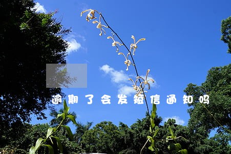 逾期了会发短信通知吗 逾期了会发短信通知吗