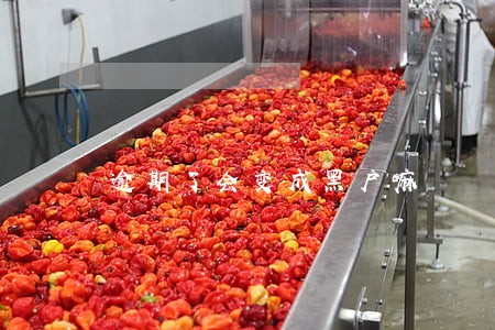 逾期了会变成黑户嘛 逾期了会变成黑户嘛