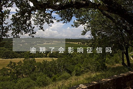 逾期了会影响征信吗 逾期了会影响征信吗