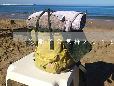 逾期了会怎样2019
