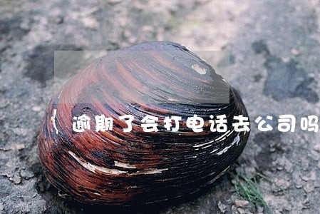 逾期了会打电话去公司吗 逾期了会打电话去公司吗