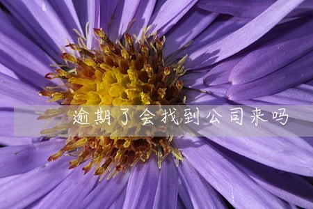 逾期了会找到公司来吗 逾期了会找到公司来吗