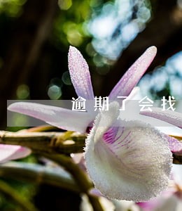 逾期了会找家人还债吗 逾期了会找家人还债吗