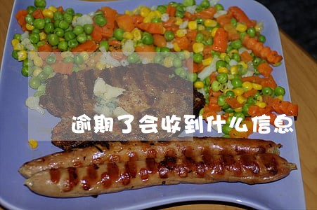 逾期了会收到什么信息 逾期了会收到什么信息