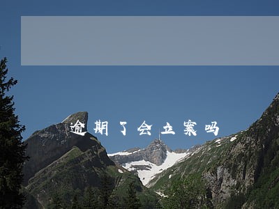 逾期了会立案吗 逾期了会立案吗