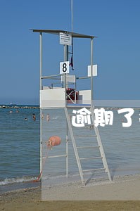 逾期了会纳入黑名单吗