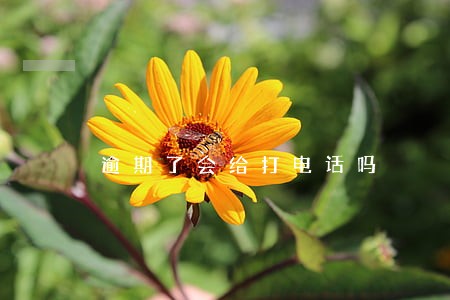 逾期了会给打电话吗 逾期了会给打电话吗