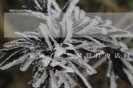 逾期了会给父母打电话吗 逾期了会给父母打电话吗