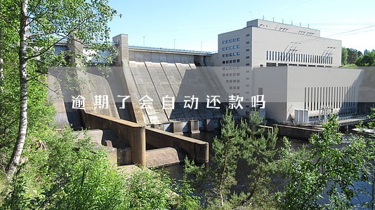 逾期了会自动还款吗 逾期了会自动还款吗