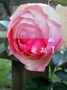 逾期了会被拉黑名单吗 逾期了会被拉黑名单吗