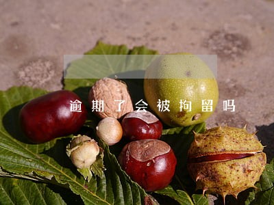 逾期了会被拘留吗 逾期了会被拘留吗