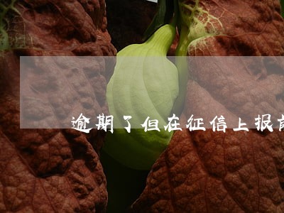 逾期了但在征信上报前还款 逾期了但在征信上报前还款