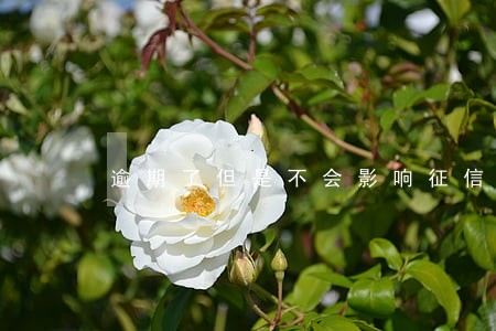 逾期了但是不会影响征信 逾期了但是不会影响征信