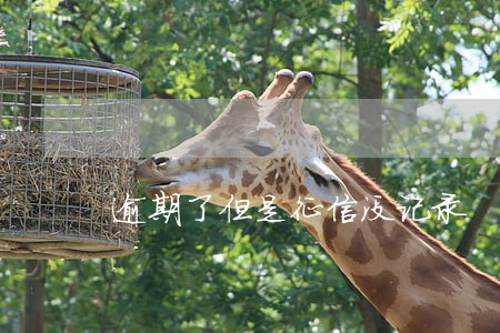 逾期了但是征信没记录