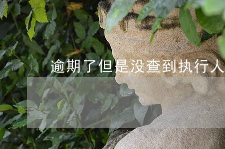 逾期了但是没查到执行人 逾期了但是没查到执行人