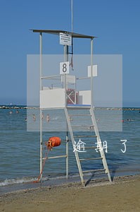 逾期了但是违约了需要还全部