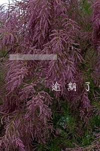 逾期了但电信公司没有通知