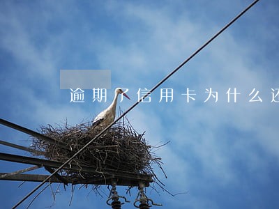 逾期了信用卡为什么还能用吗 逾期了信用卡为什么还能用吗