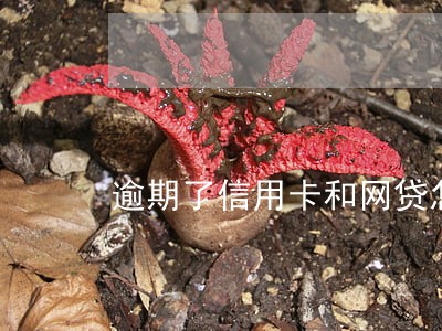 逾期了信用卡和网贷怎样算利息 逾期了信用卡和网贷怎样算利息