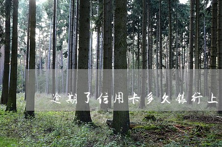 逾期了信用卡多久银行上门 逾期了信用卡多久银行上门