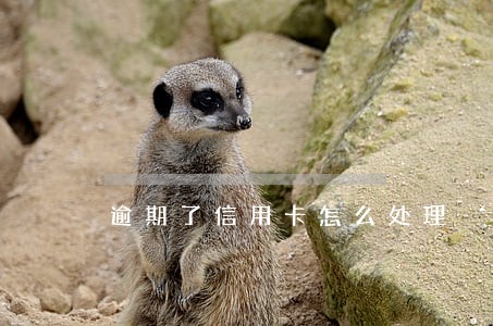 逾期了信用卡怎么处理