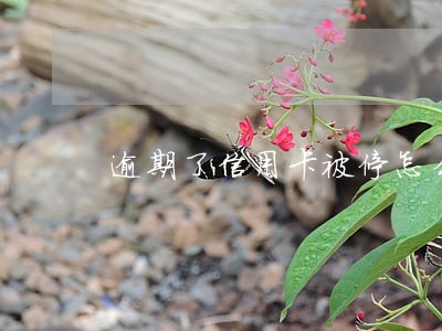 逾期了信用卡被停怎么还款 逾期了信用卡被停怎么还款