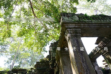 逾期了信用卡还能再办吗浦发 逾期了信用卡还能再办吗浦发