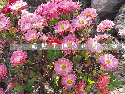 逾期了信贷逃避会冻结财产吗 逾期了信贷逃避会冻结财产吗