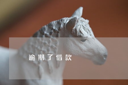 逾期了借款 逾期了借款