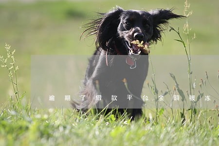 逾期了借款平台余额被冻结怎么办 逾期了借款平台余额被冻结怎么办