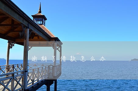 逾期了借款怎么办 逾期了借款怎么办
