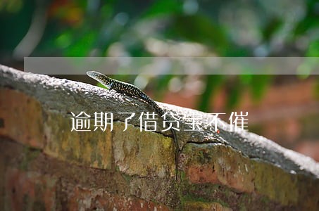 逾期了借贷宝不催 逾期了借贷宝不催