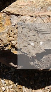 逾期了借钱平台哪个可以借出来 逾期了借钱平台哪个可以借出来