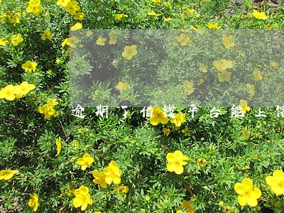 逾期了借钱平台能上饿了吗吗