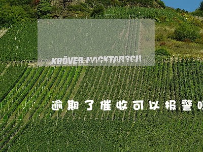 逾期了催收可以报警吗 逾期了催收可以报警吗