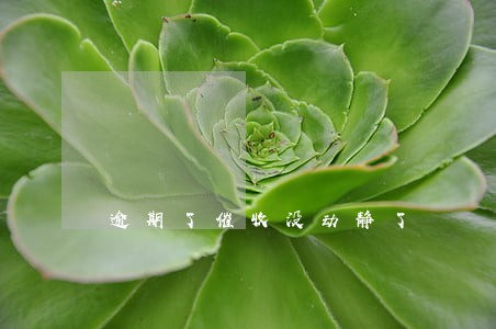 逾期了催收没动静了 逾期了催收没动静了