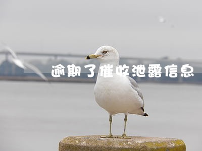 逾期了催收泄露信息 逾期了催收泄露信息
