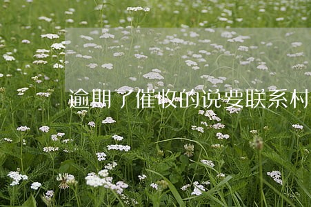 逾期了催收的说要联系村委会 逾期了催收的说要联系村委会