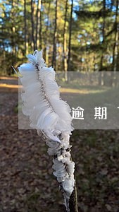逾期了催收部上门怎么办 逾期了催收部上门怎么办