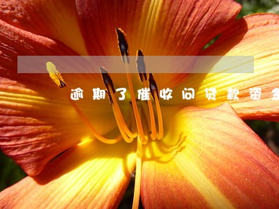 逾期了催收问贷款资金用途 逾期了催收问贷款资金用途