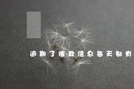 逾期了催款信息每天都有是真的吗 逾期了催款信息每天都有是真的吗
