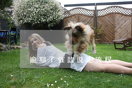 逾期了催款说走流程 逾期了催款说走流程
