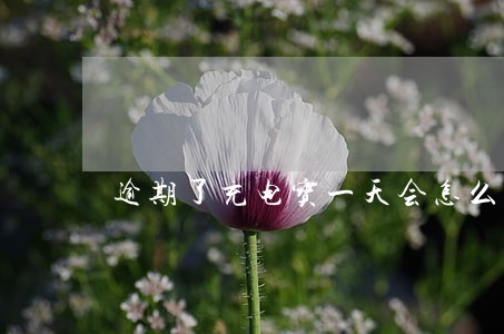 逾期了充电宝一天会怎么样 逾期了充电宝一天会怎么样