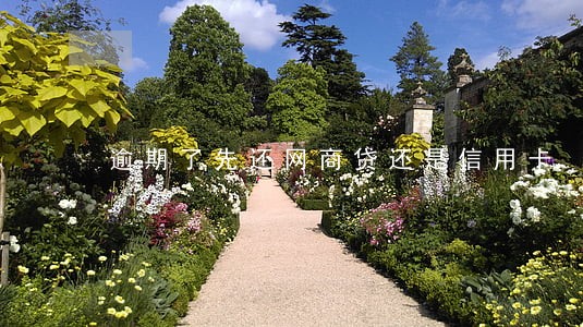 逾期了先还网商贷还是信用卡 逾期了先还网商贷还是信用卡