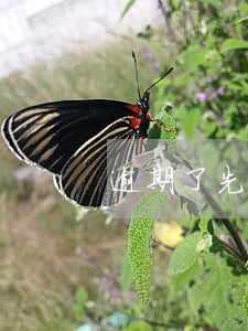 逾期了先还网贷还是信用卡 逾期了先还网贷还是信用卡